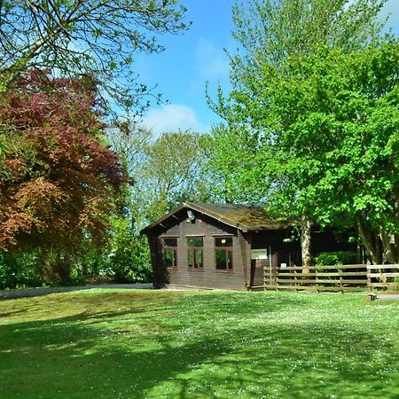 37 Trevithick Court, Tolroy Manor Villa Хейл Екстериор снимка